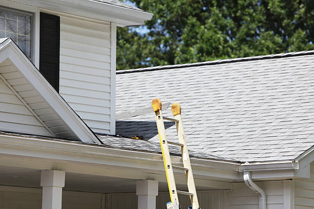 Best Storm Damage Siding Repair  in Marlboro, NY